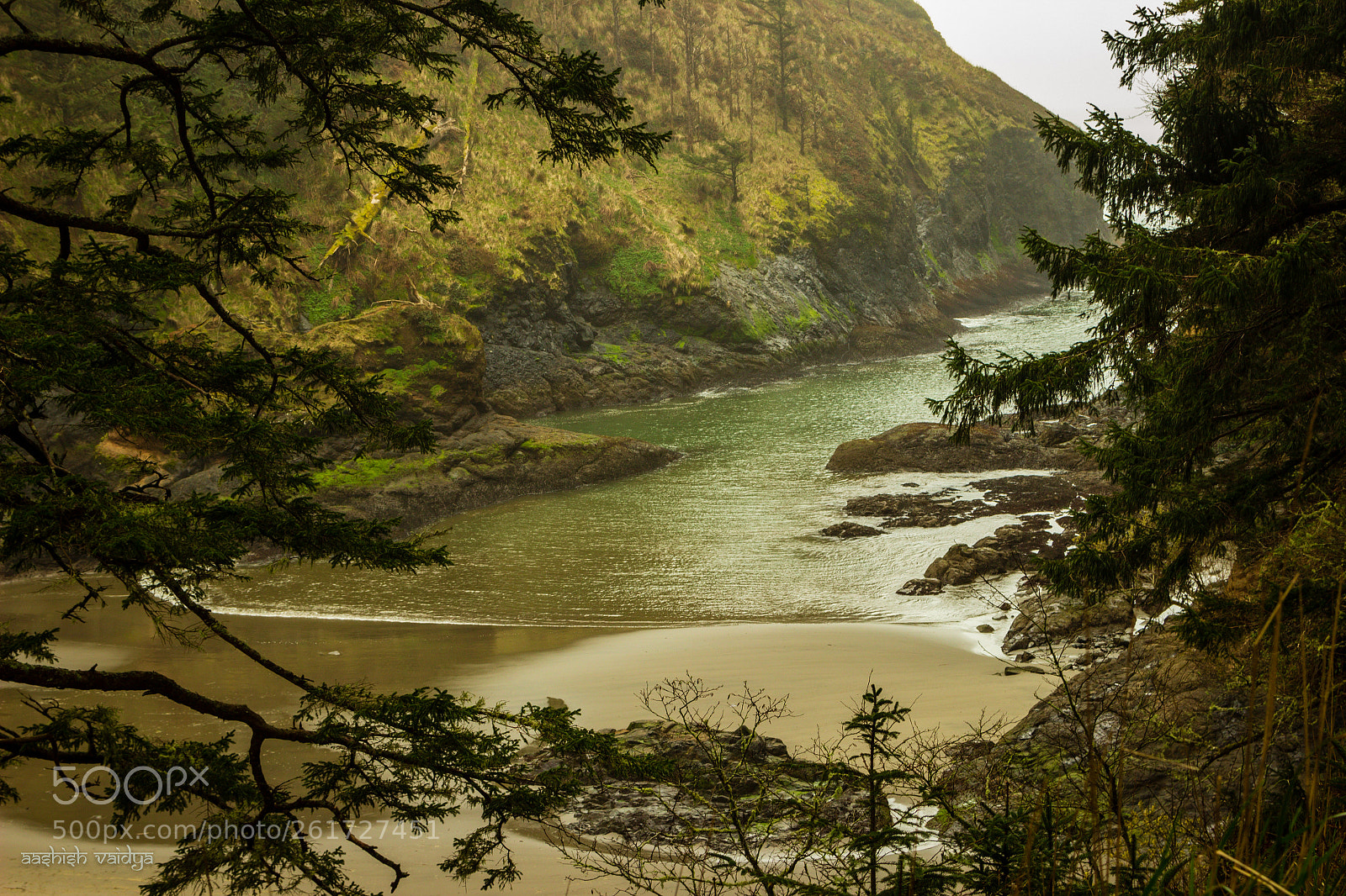 Canon EOS 600D (Rebel EOS T3i / EOS Kiss X5) sample photo. Cove, cape disappointment, washington photography