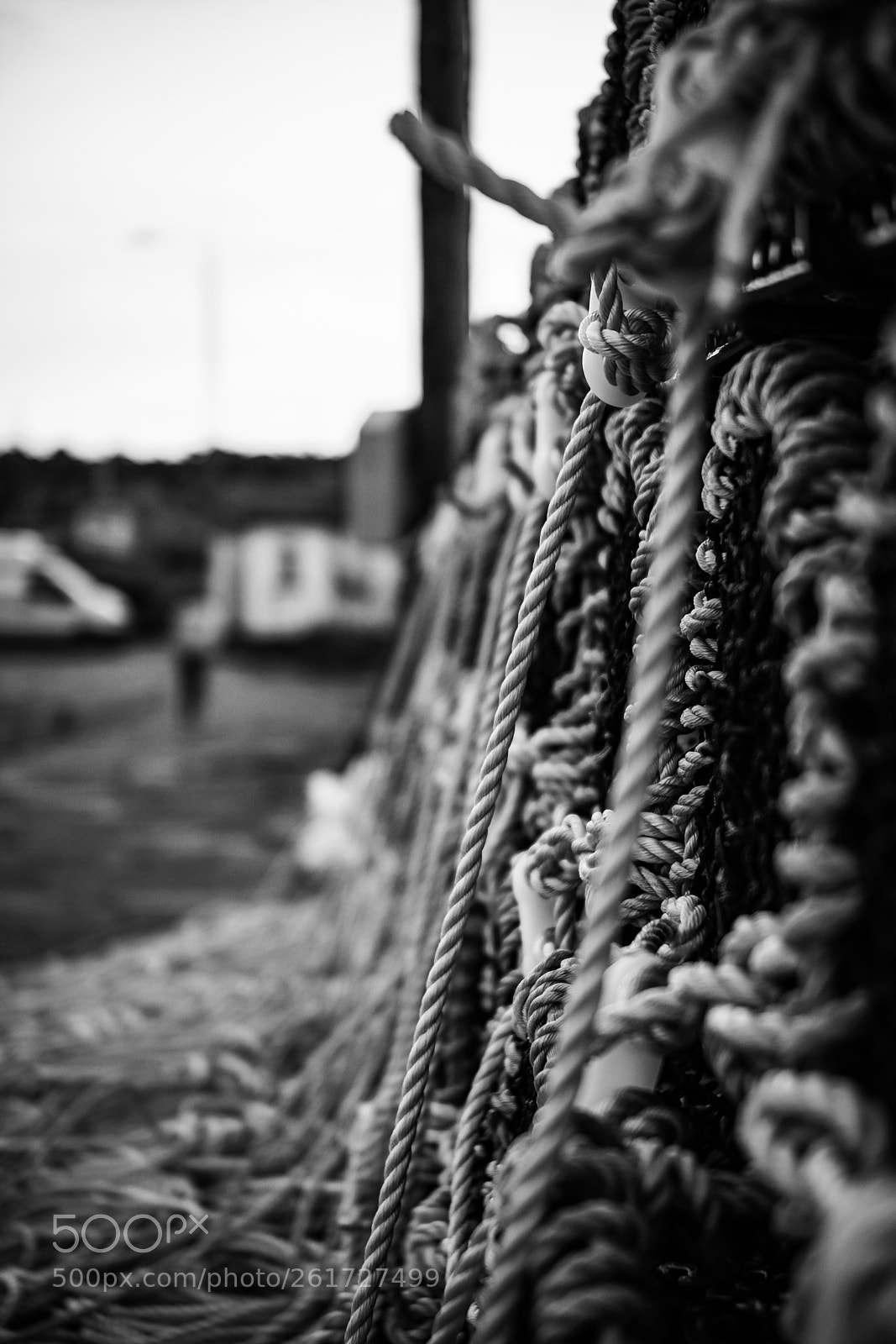 Fujifilm X-T20 sample photo. "ropes" photography