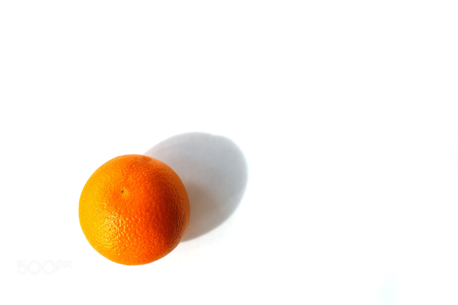 Nikon D750 sample photo. Orange photography