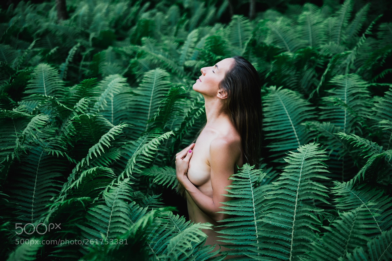 Canon EOS 6D sample photo. Ferns photography