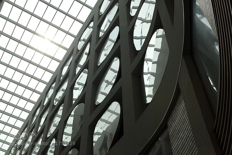 Canon EOS 5D Mark II sample photo. Rounds 'n grids photography