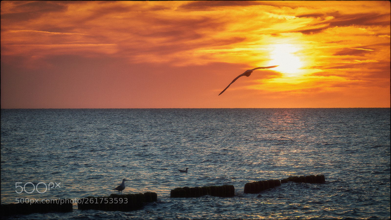 Fujifilm X-T1 sample photo. Remembrance of the baltic photography