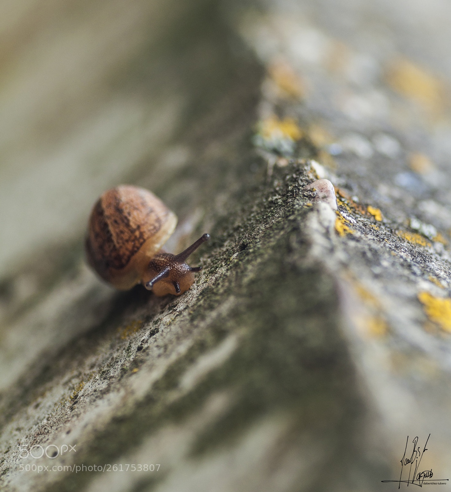 Nikon D90 sample photo. Llegando a la cima.... photography