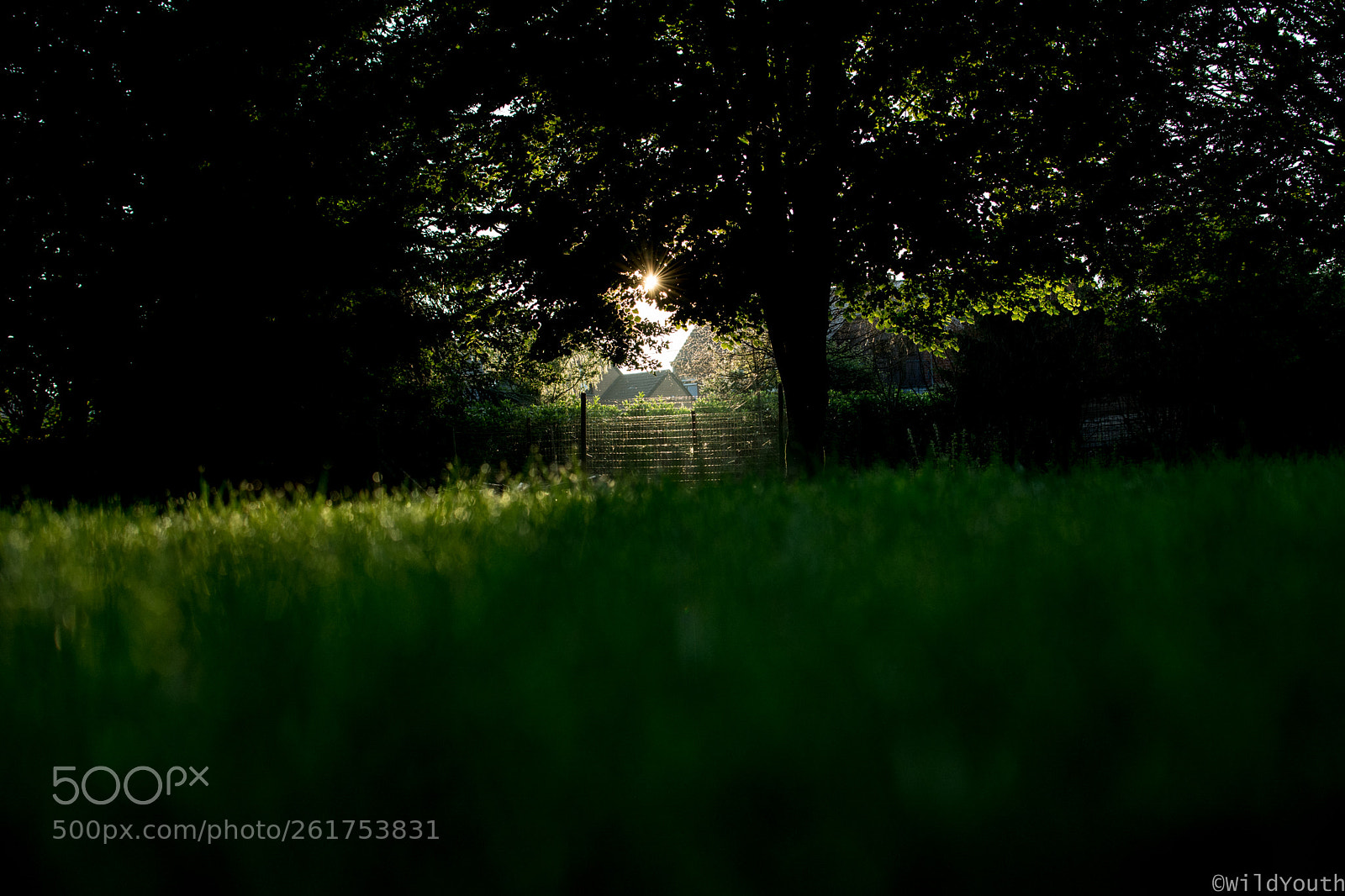 Nikon D5200 sample photo. When the sun comes photography