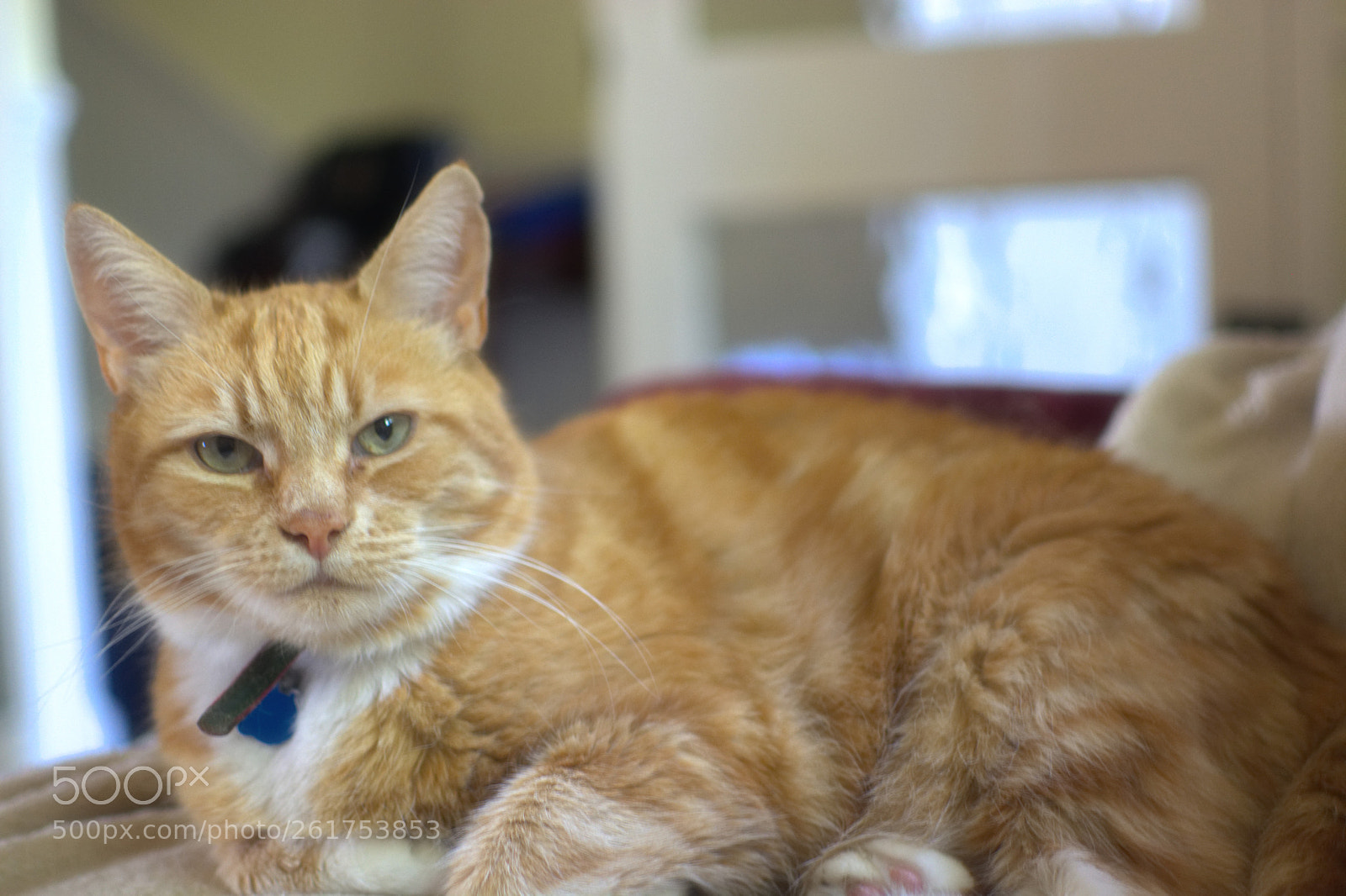 Nikon D7100 sample photo. Monday morning ninja photography