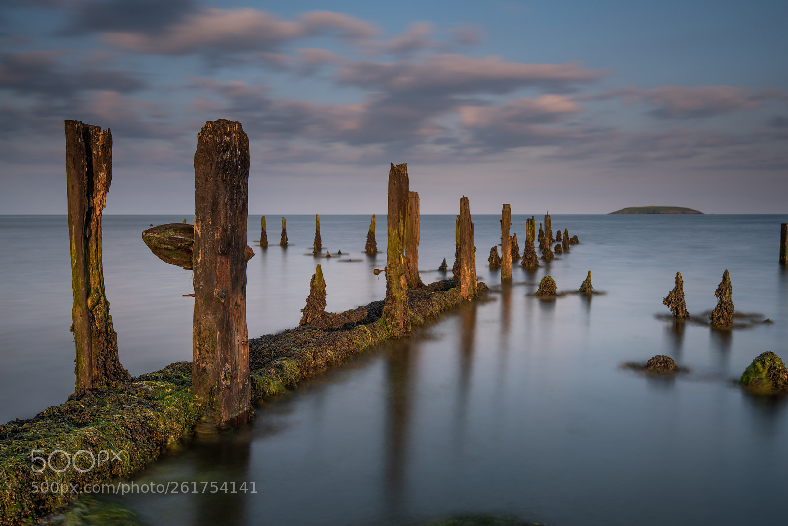 Nikon D750 sample photo. Pilmore groynes 2018/06 photography