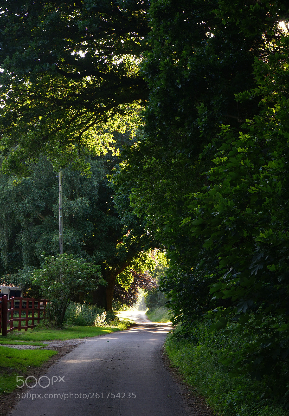 Sony a7 II sample photo. Country lane photography