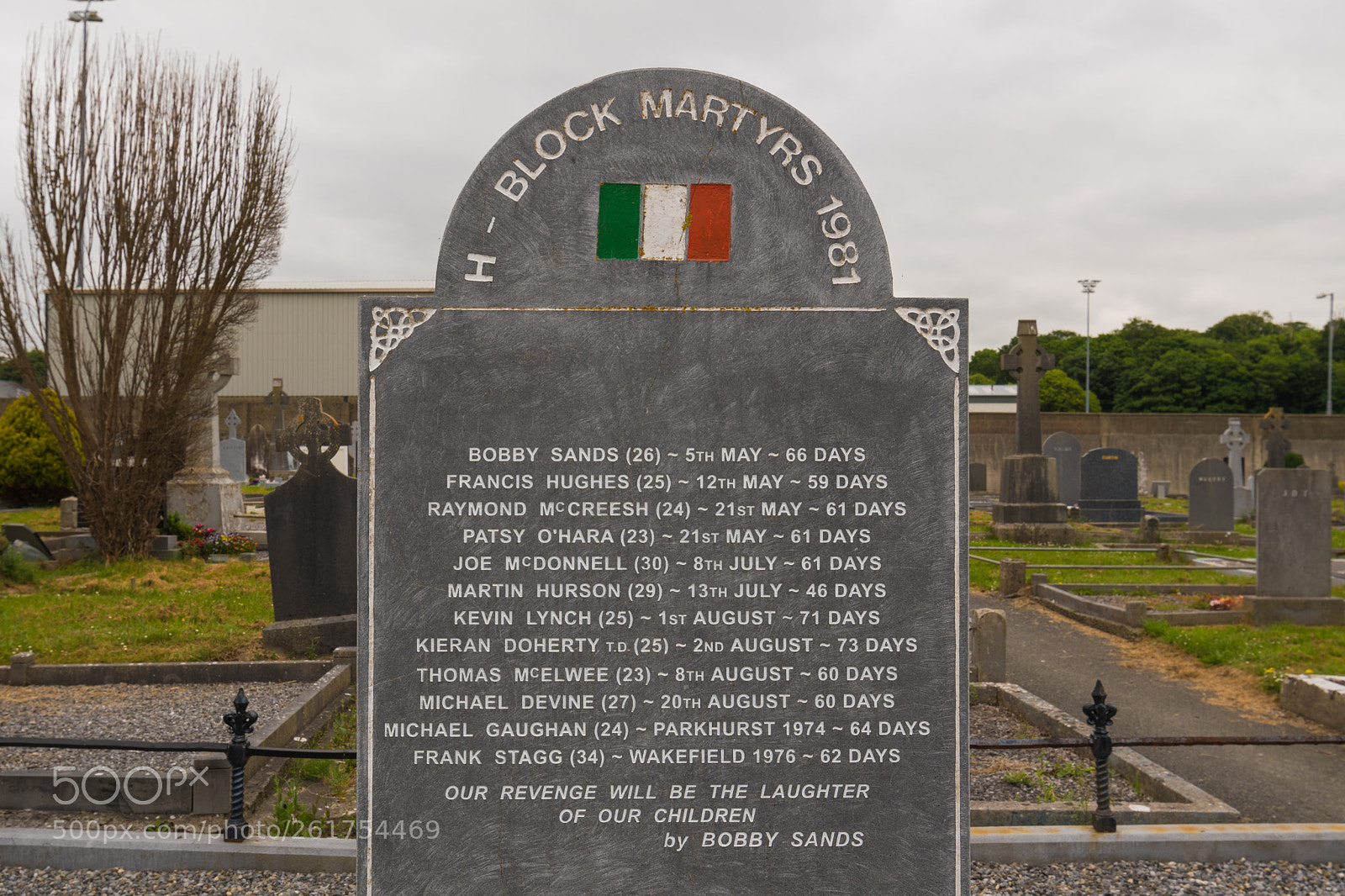 Nikon D500 sample photo. Irish martyr's photography