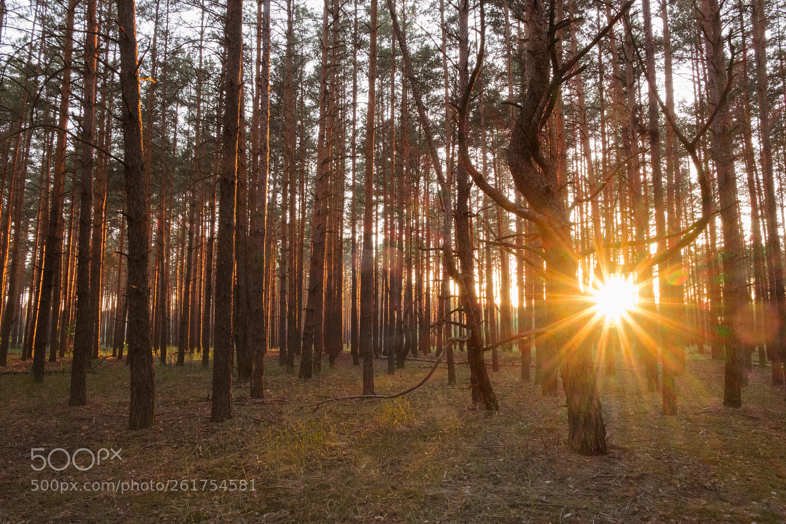Fujifilm X-T1 sample photo. Sunset rays in evening photography