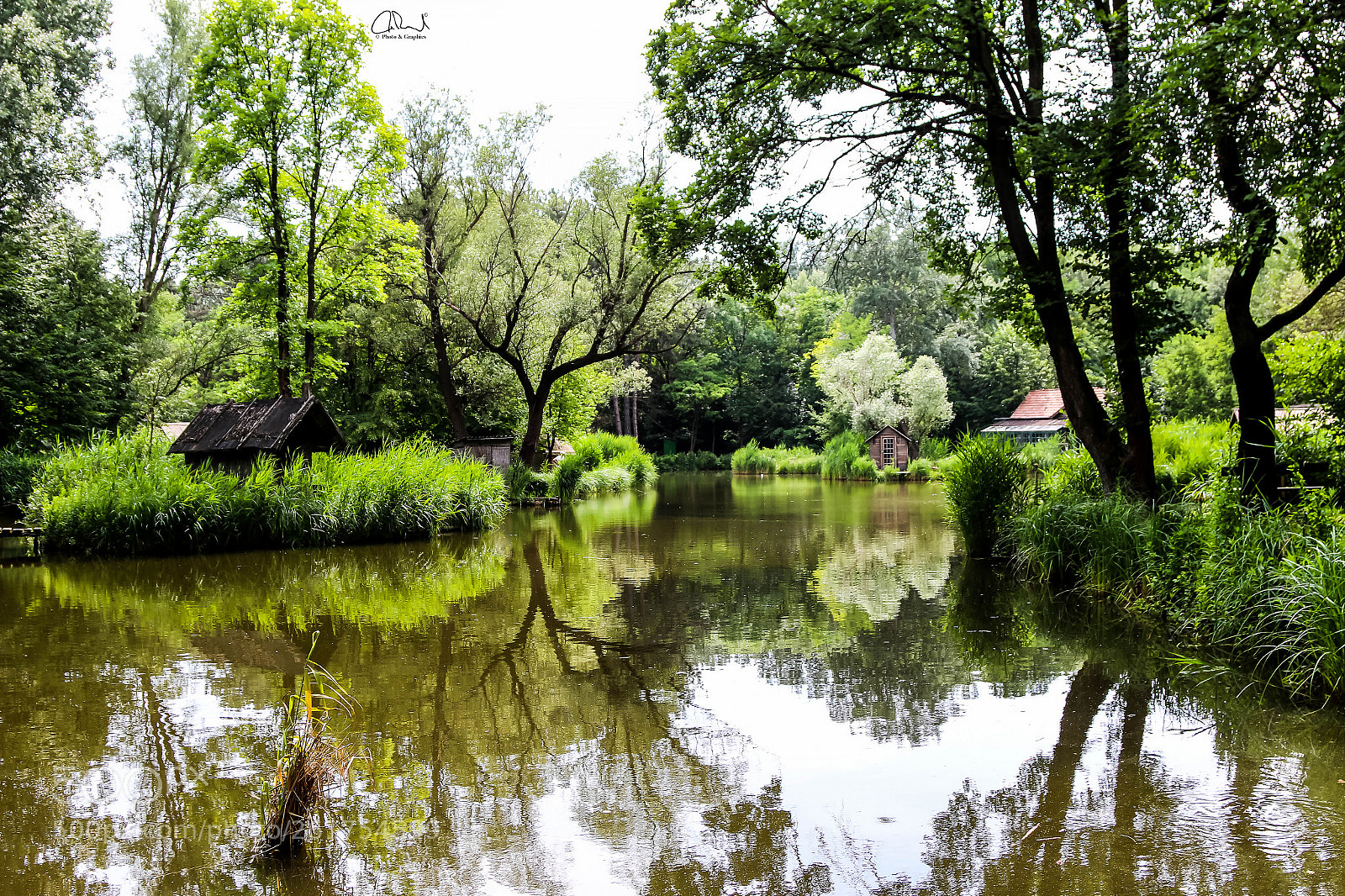 Canon EOS 70D sample photo. Paradise photography