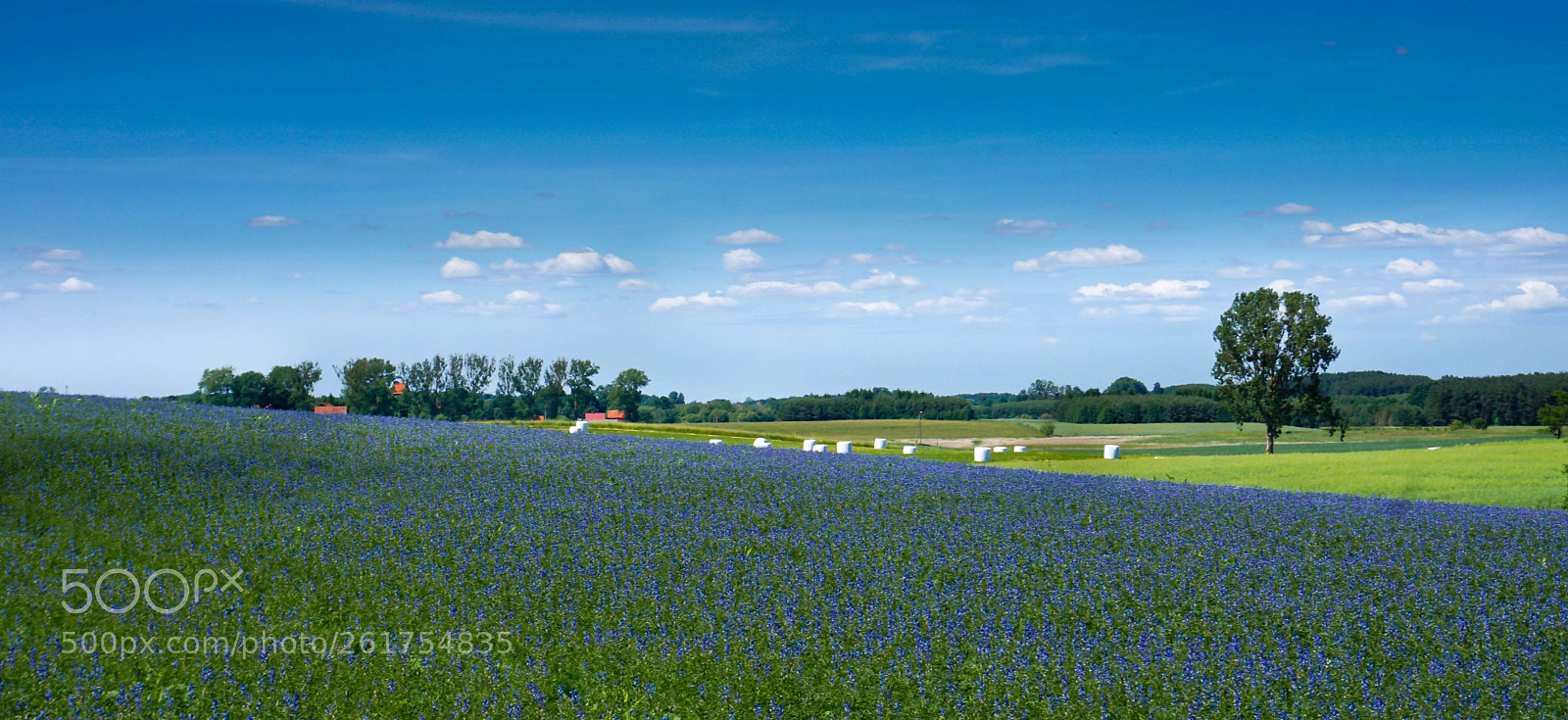 Sony a6000 sample photo. Warmian fields photography