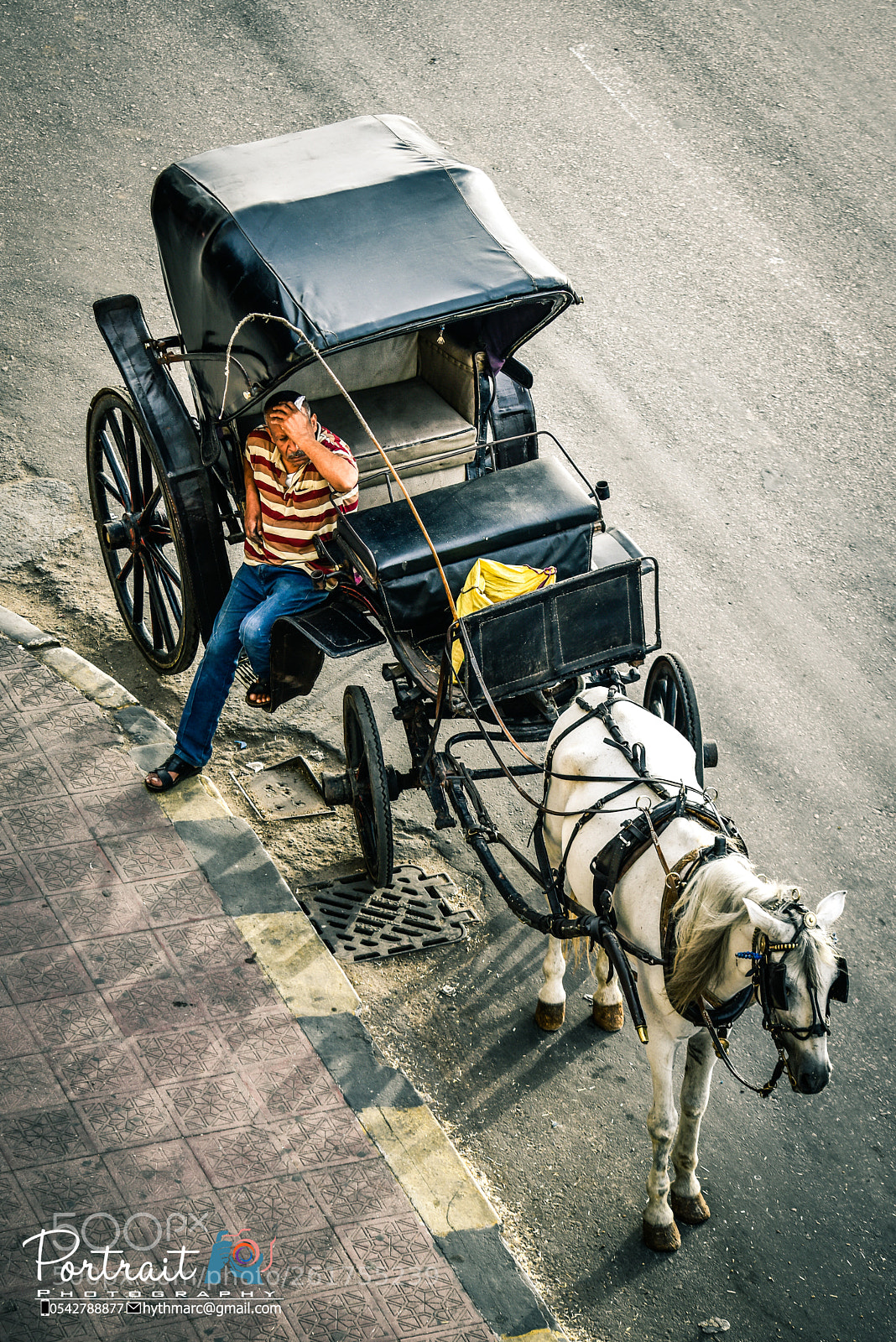 Nikon D810 sample photo. Wainting photography