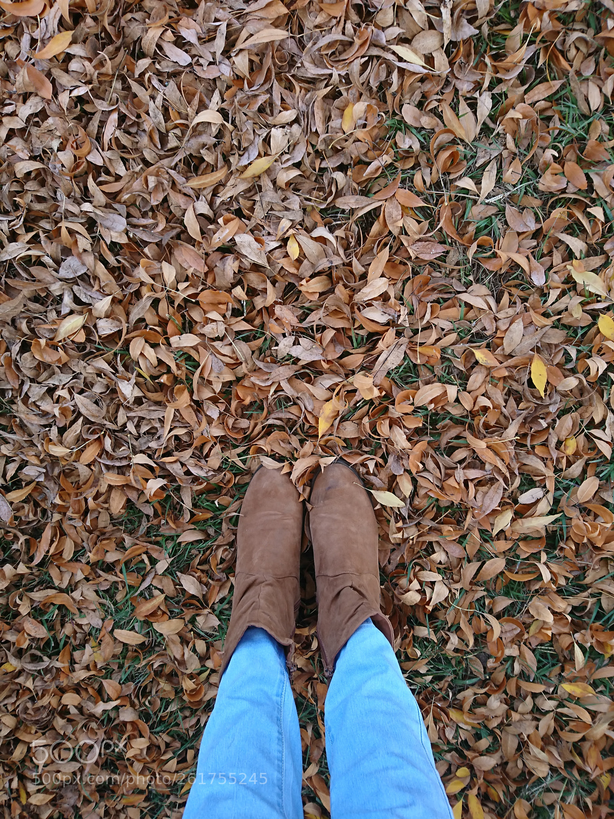 Sony Xperia XZ sample photo. Untitled photography
