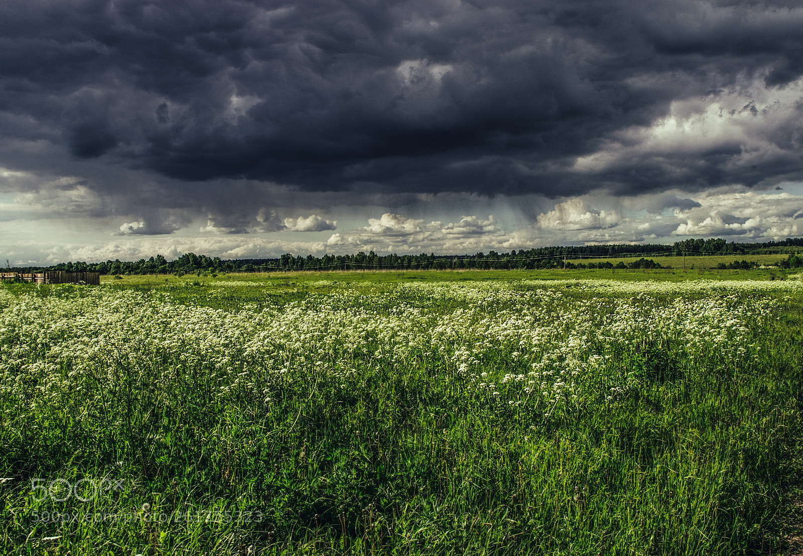 Nikon D3200 sample photo. Storm photography