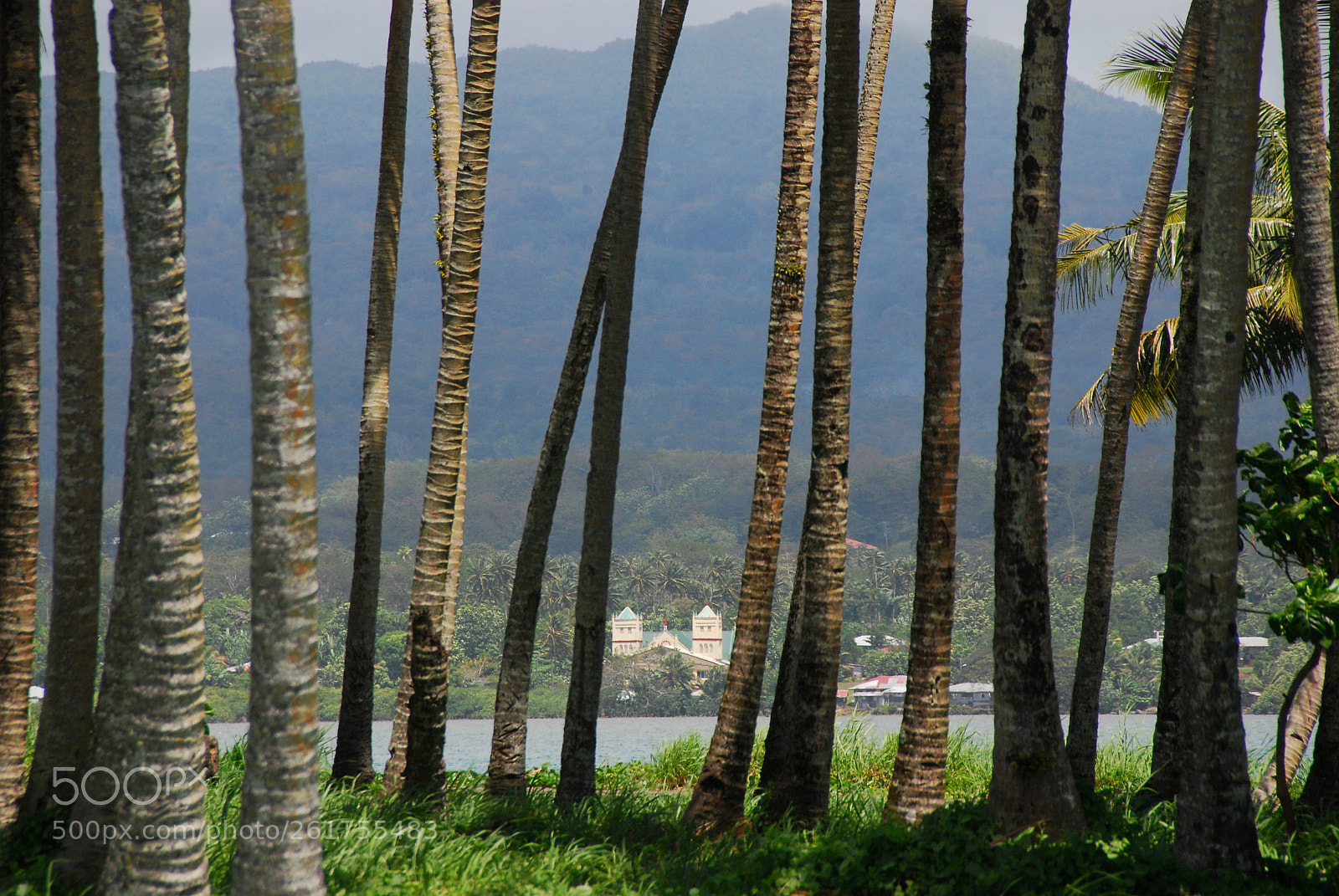 Nikon D80 sample photo. Mulinu'u.  apia.  samoa. photography