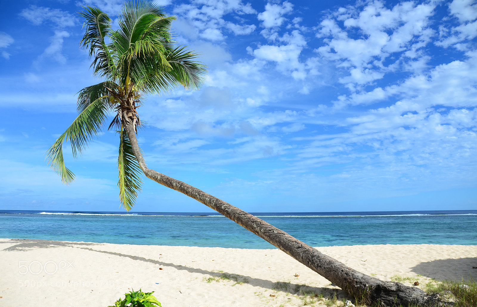 Nikon D7000 sample photo. Beach near lalomanu.  samoa. photography