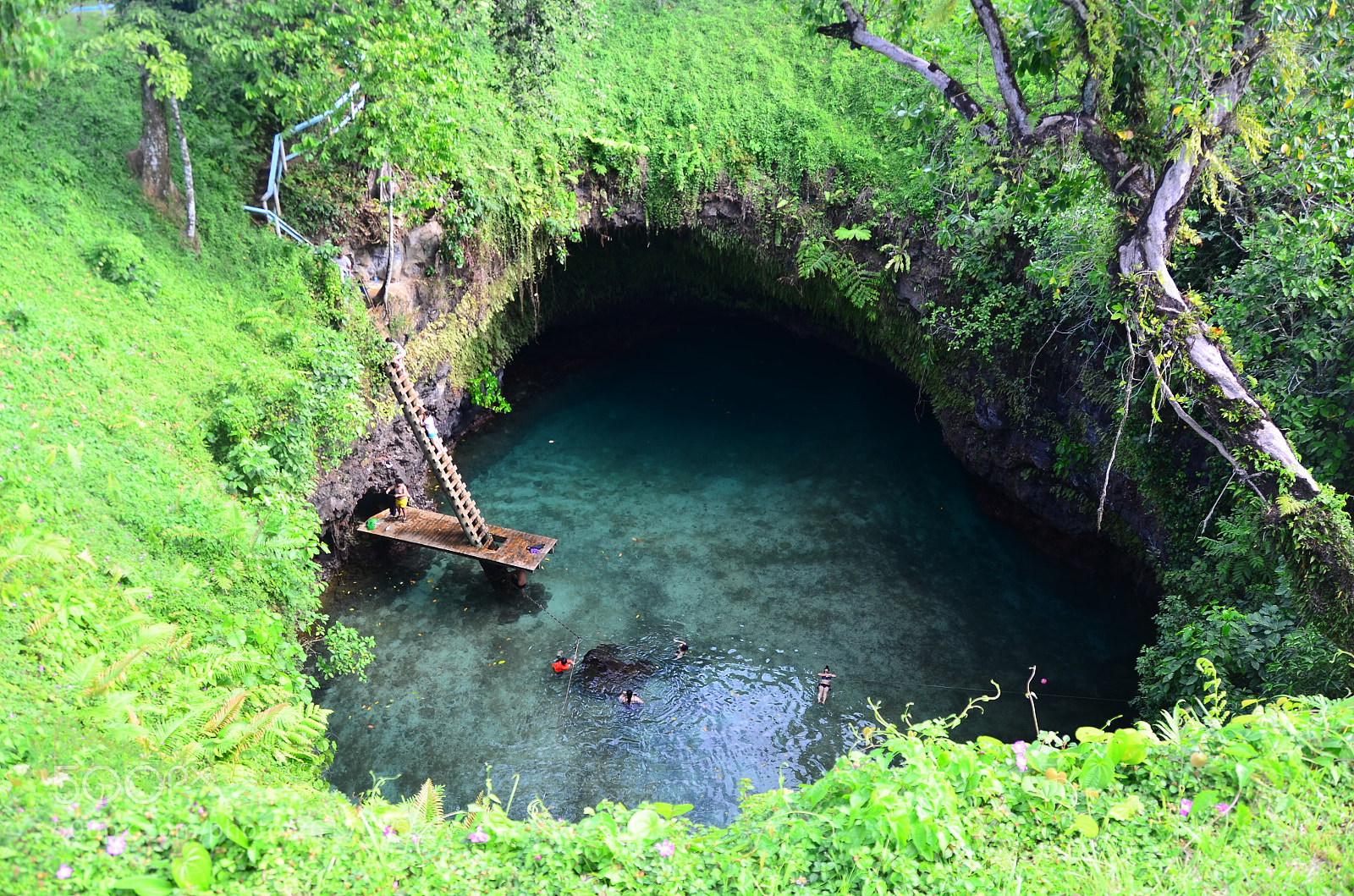 Nikon AF-S DX Nikkor 18-200mm F3.5-5.6G ED VR II sample photo. To-sua ocean trench.  samoa. photography