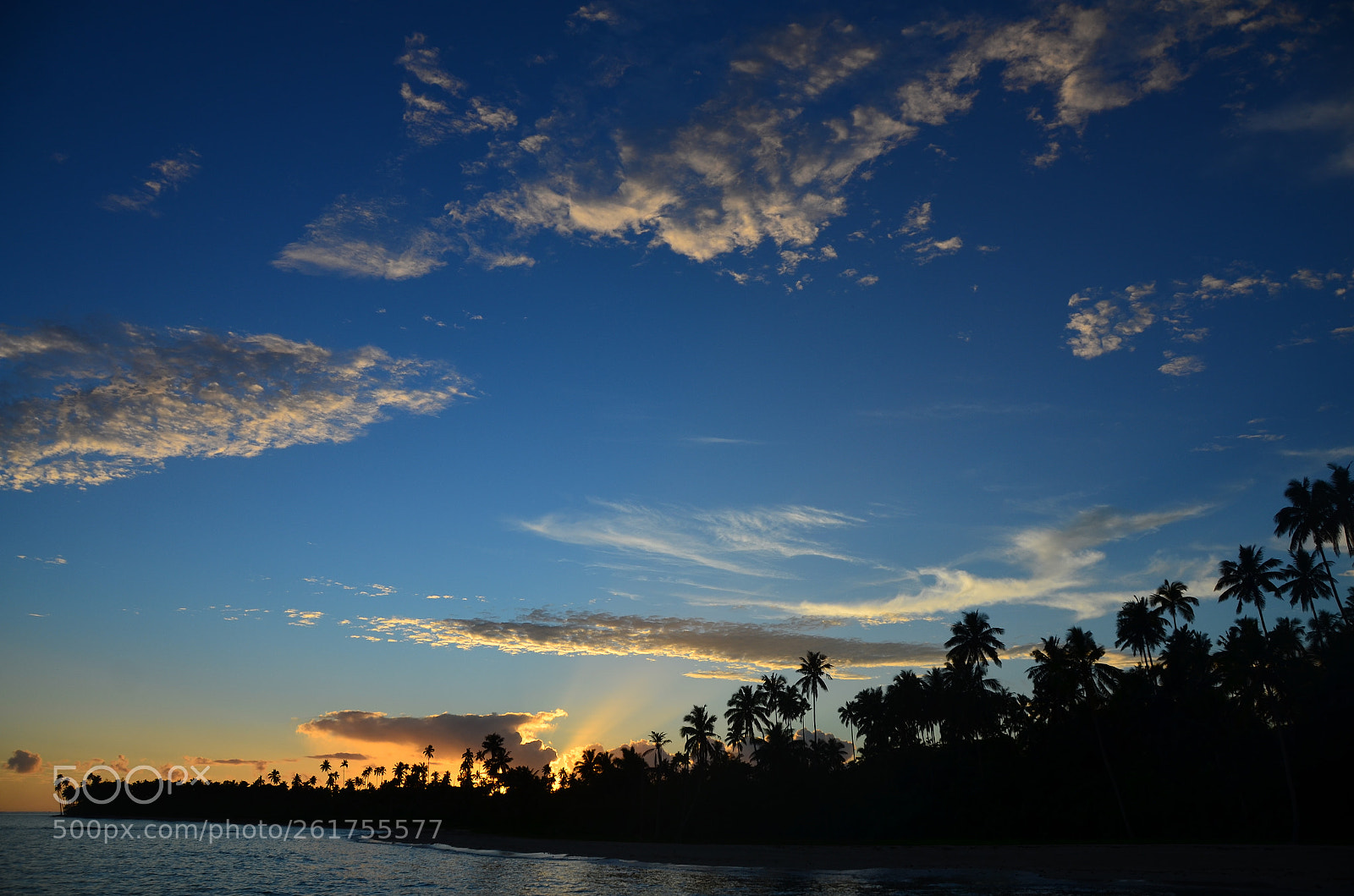 Nikon D7000 sample photo. Coconuts resport and spa photography