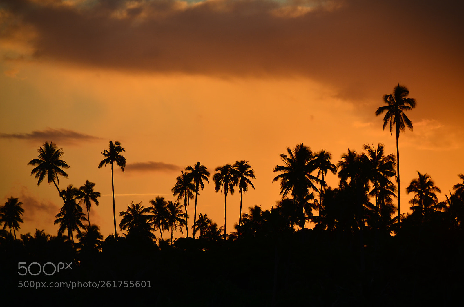 Nikon D7000 sample photo. Coconuts resport and spa photography
