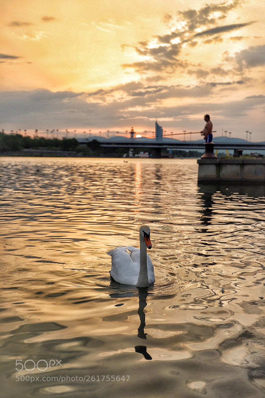 Canon EOS 6D Mark II sample photo. Untitled photography