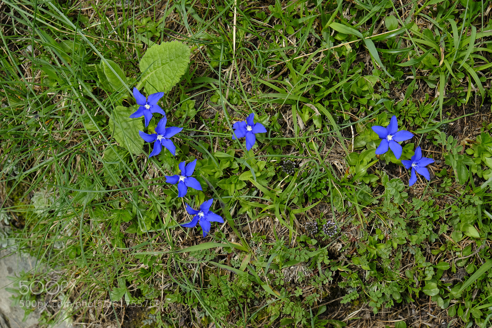 Fujifilm X-T20 sample photo. I love blu photography