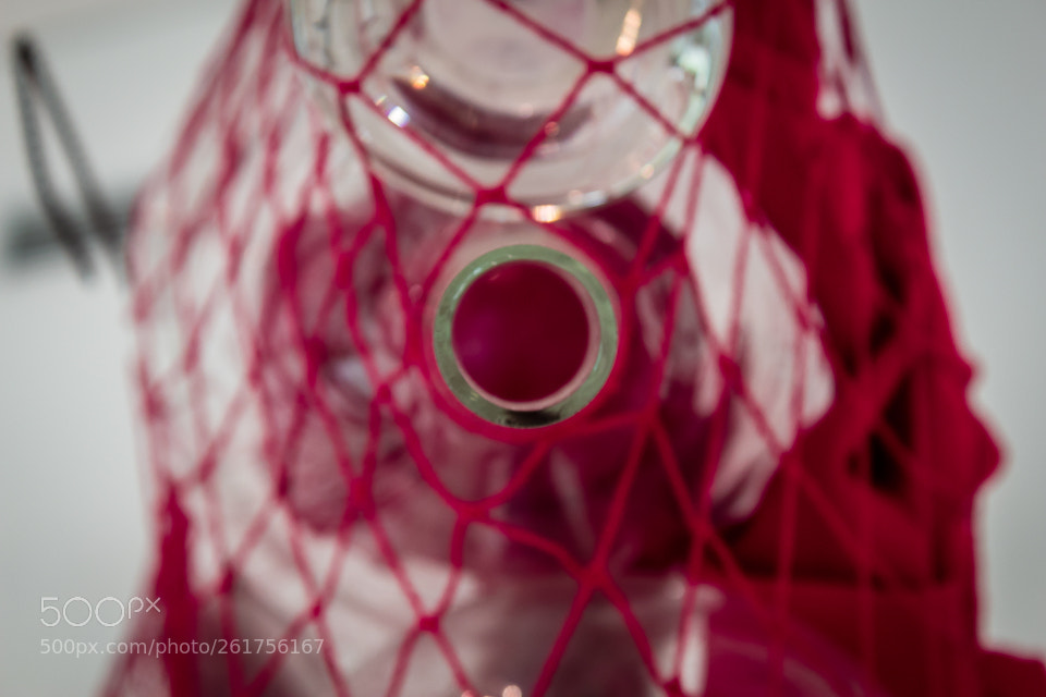 Canon EOS 1300D (EOS Rebel T6 / EOS Kiss X80) sample photo. Inhotim photography
