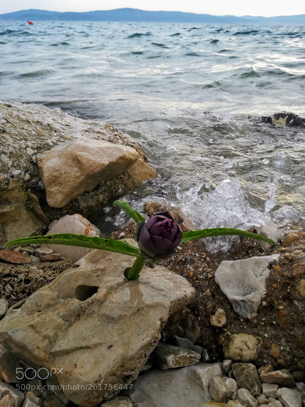 HUAWEI P10 lite sample photo. Untitled photography