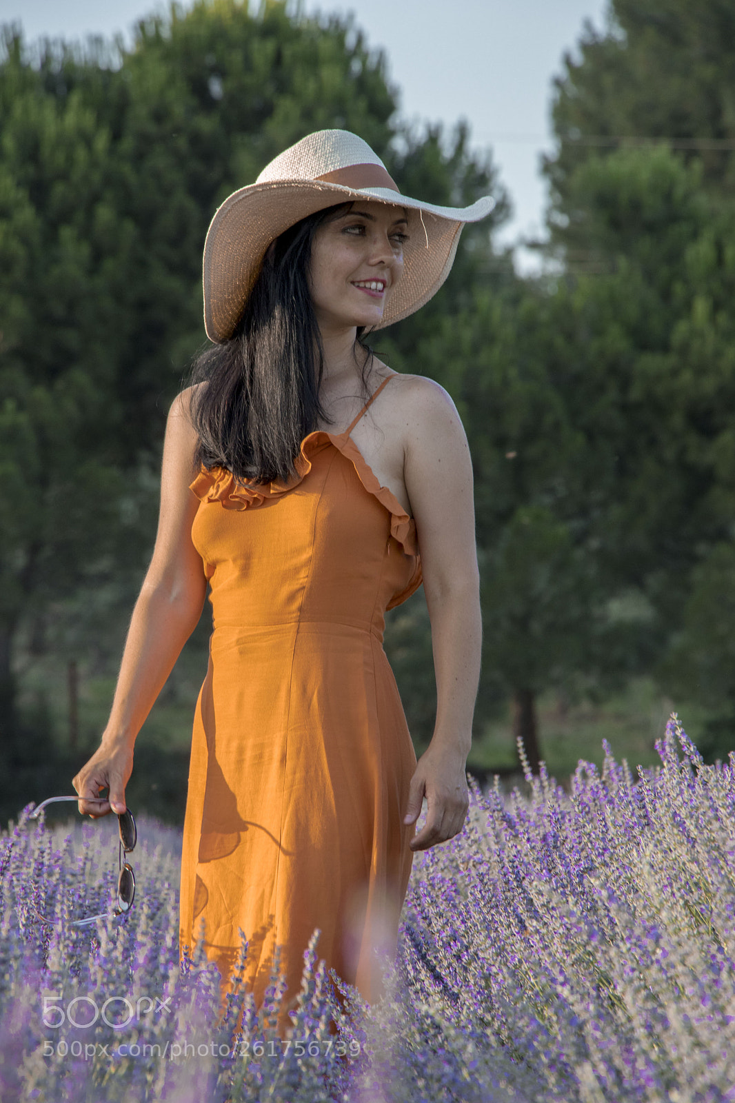 Canon EOS 77D (EOS 9000D / EOS 770D) sample photo. Lavender and girl photography