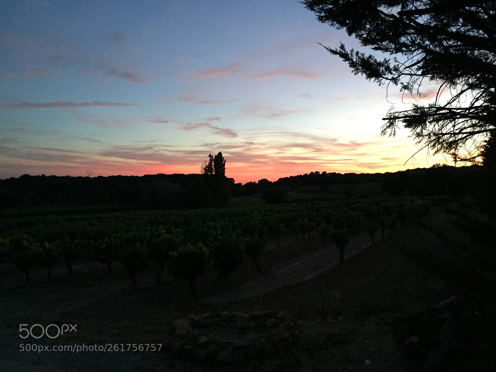 Apple iPhone 6 sample photo. South of france 2 photography