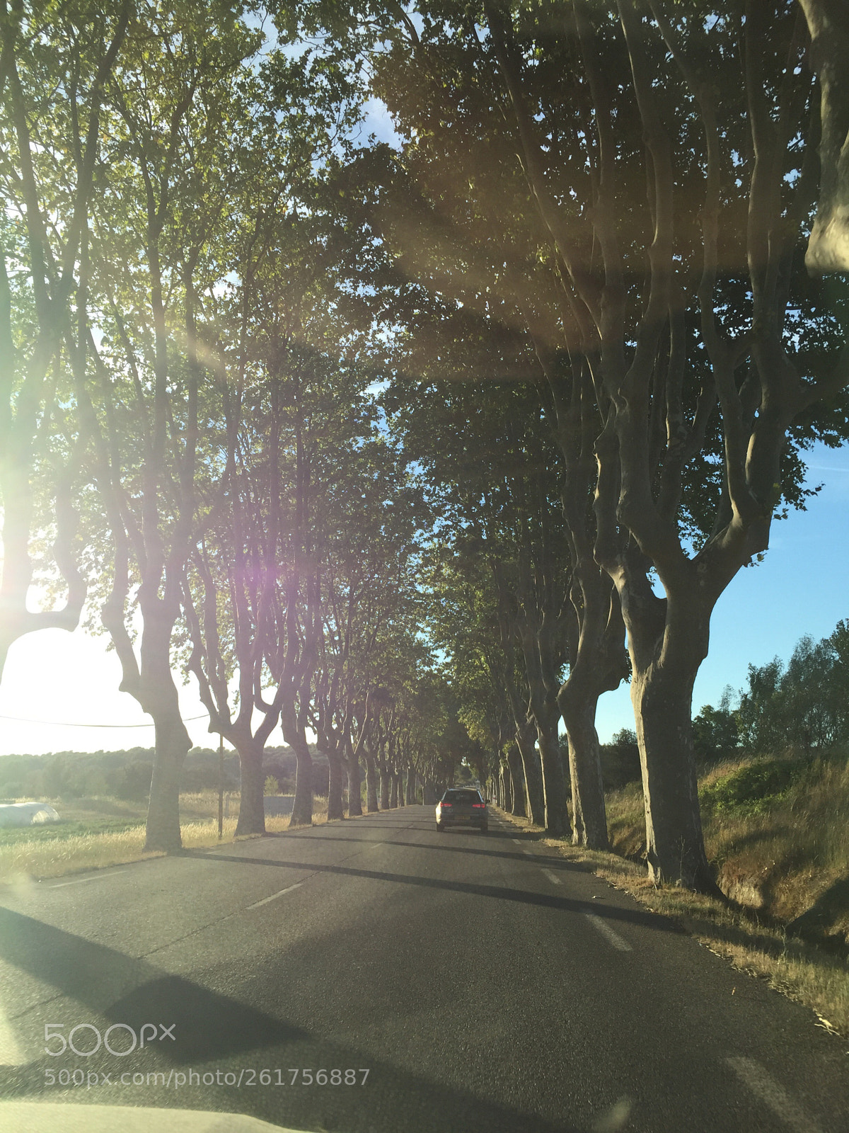 Apple iPhone 6 sample photo. South of france 3  photography