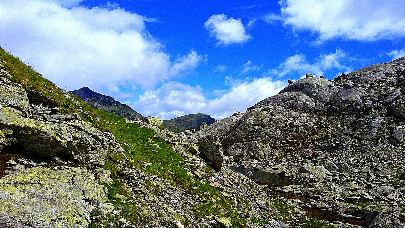 Samsung Galaxy S4 Mini sample photo. Nelle vicinanze di campo photography