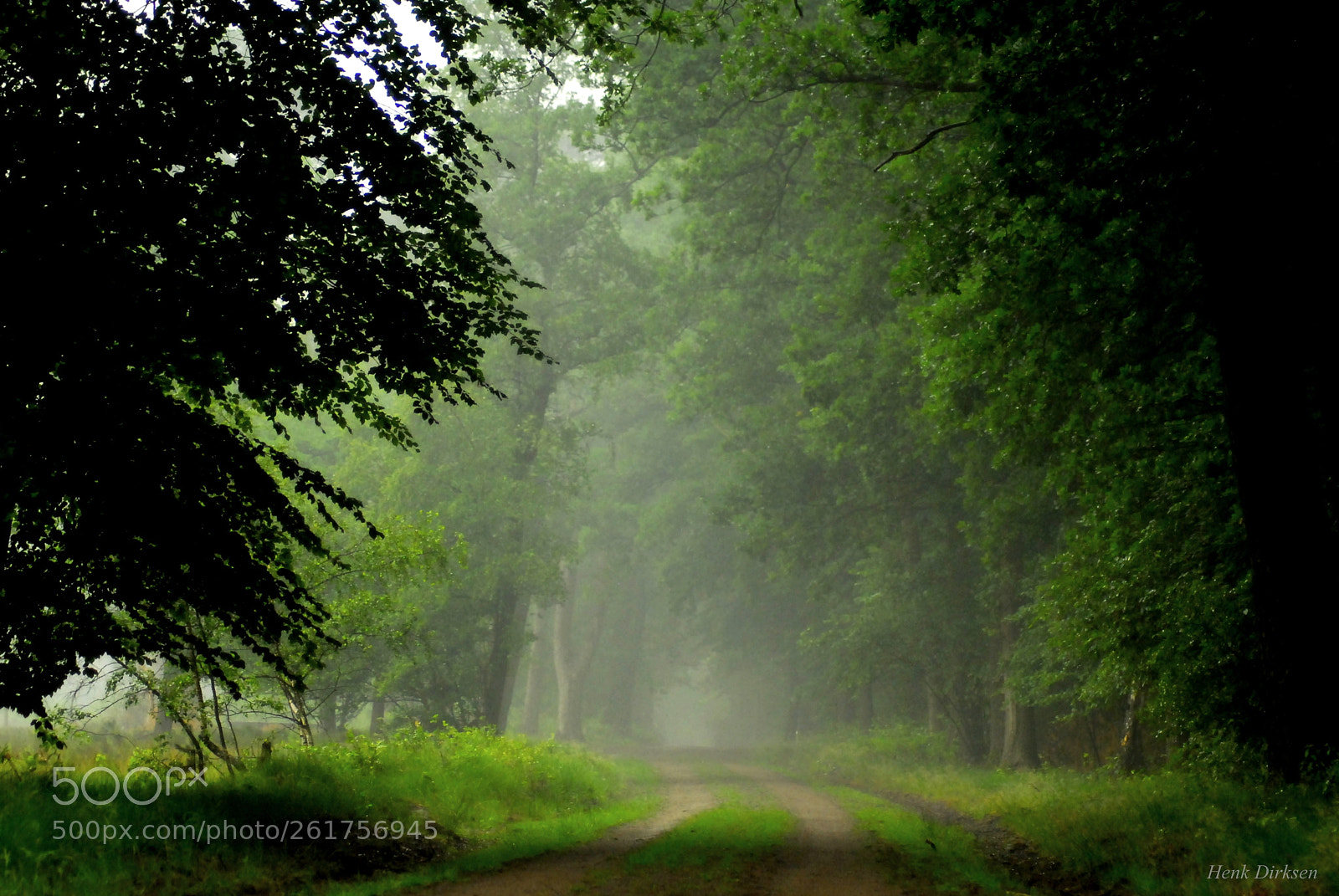 Nikon D200 sample photo. Regendag photography