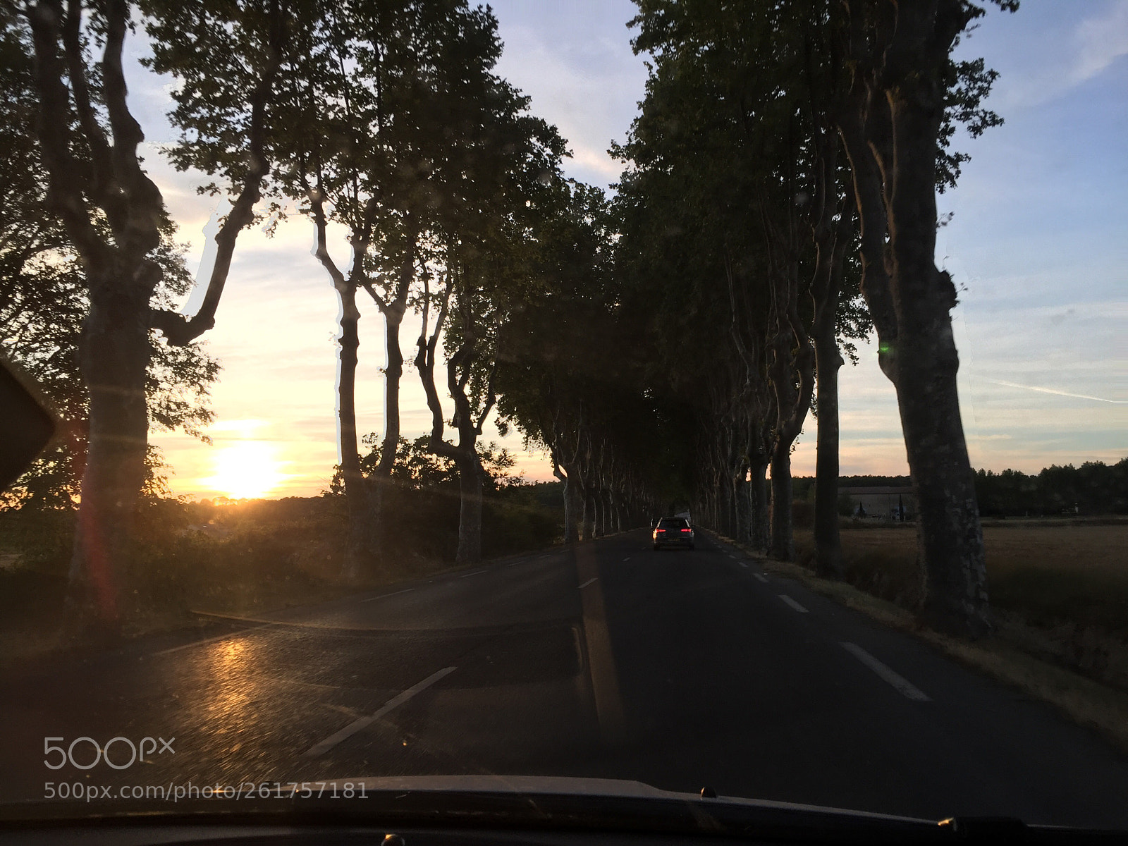 Apple iPhone 6 sample photo. South of france 5  photography