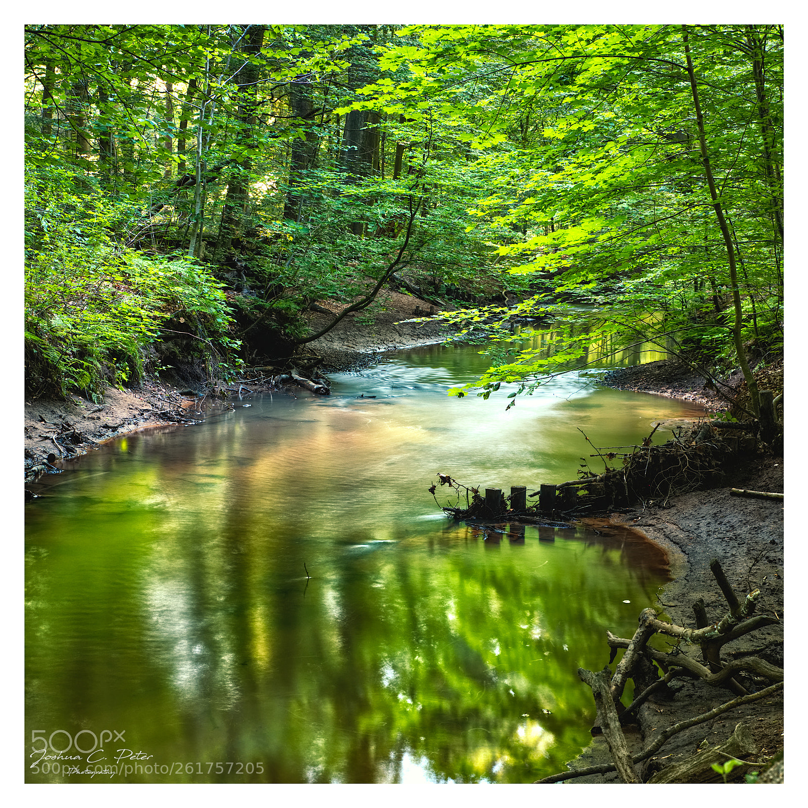 Canon EOS 6D Mark II sample photo. Forest riverside photography