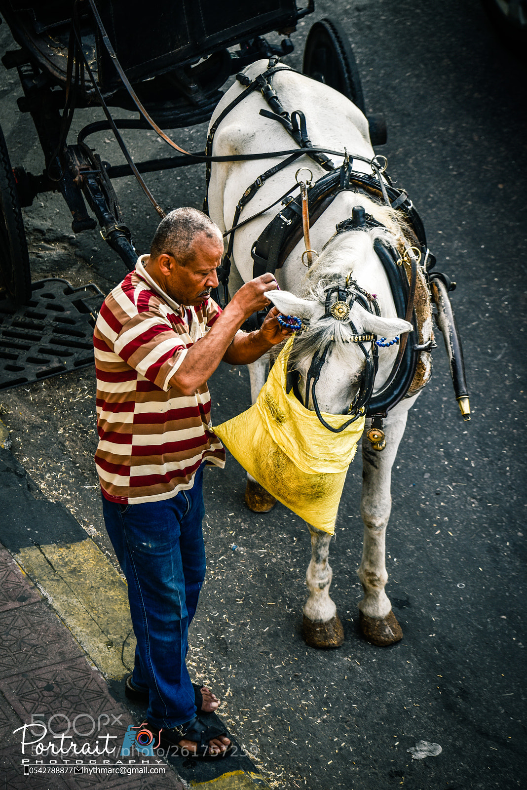 Nikon D810 sample photo. The man and the photography