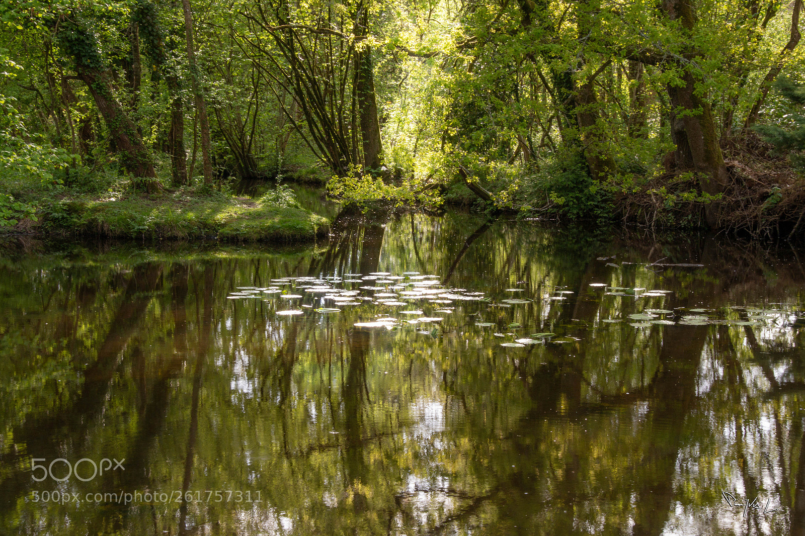 Canon EOS 70D sample photo. Reflets photography