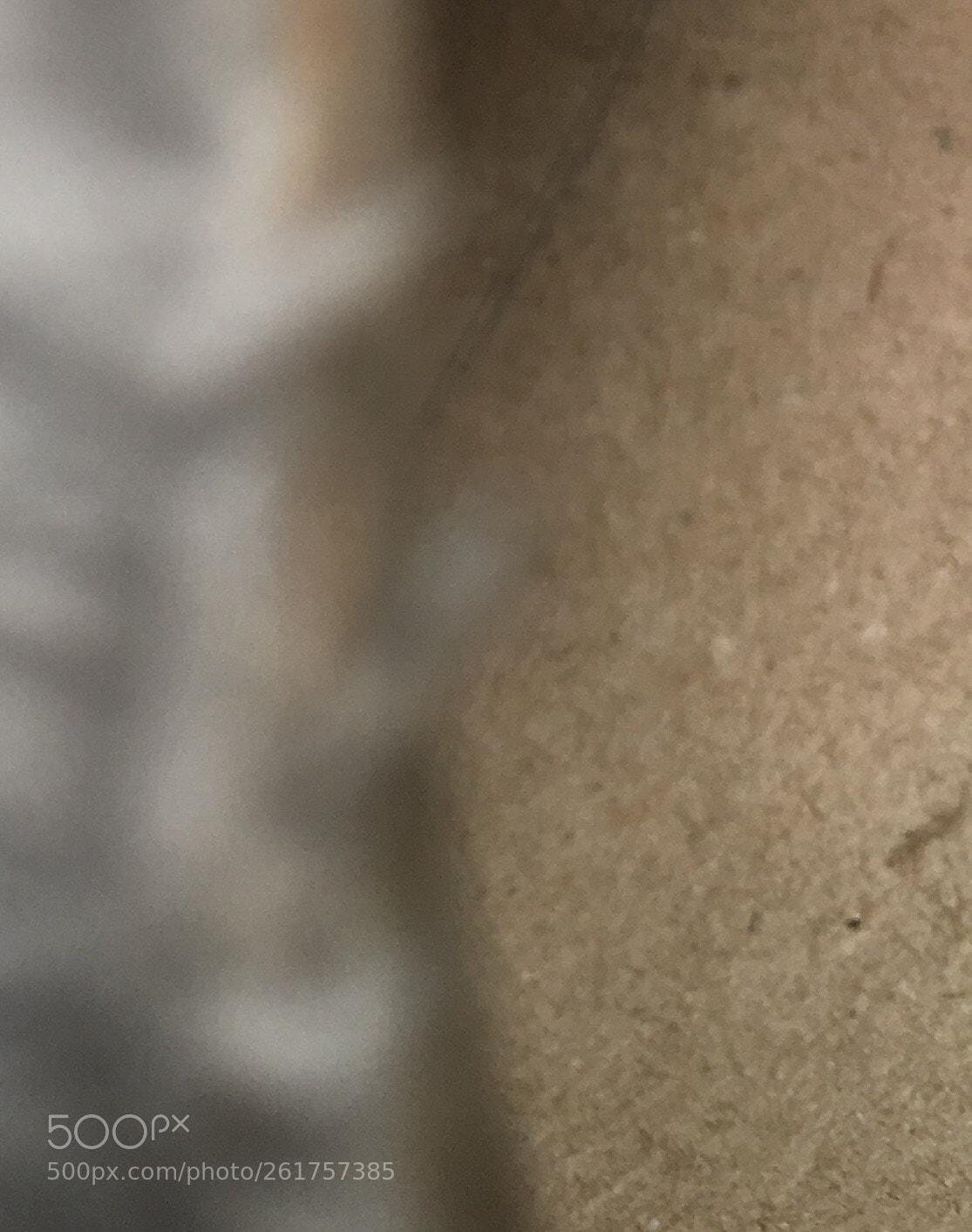 Apple iPhone SE sample photo. Blur to focal photography