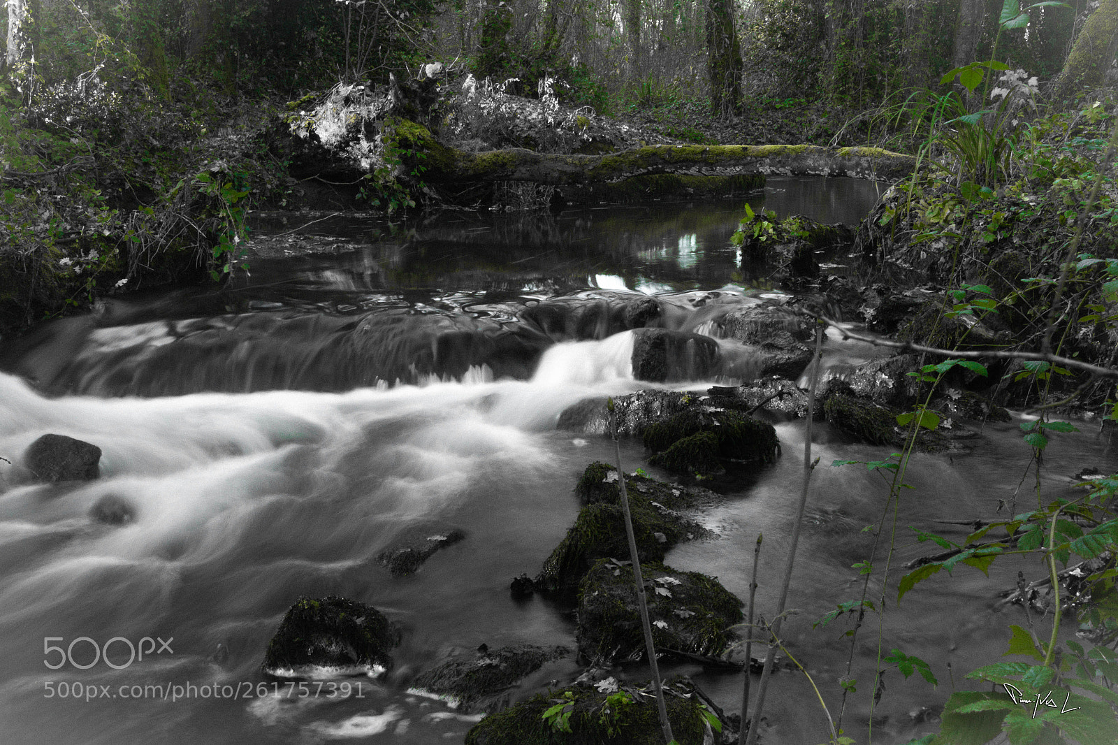 Canon EOS 70D sample photo. Rivière photography