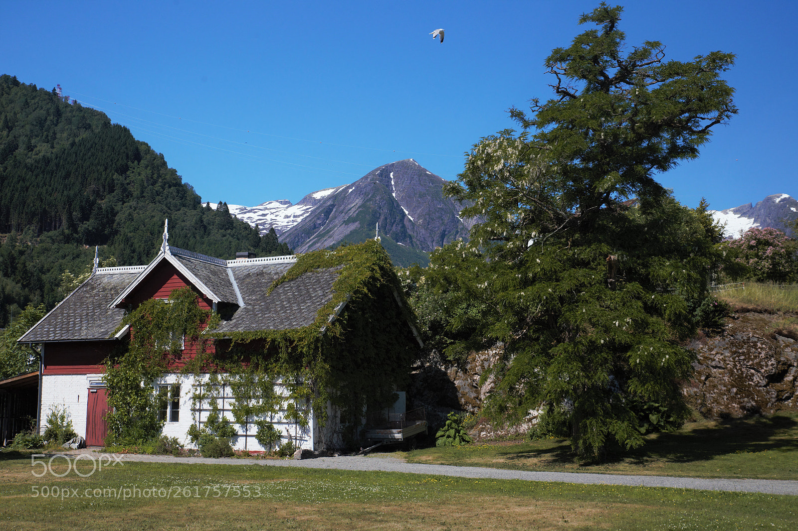 Canon EOS 6D sample photo. In balestrand photography