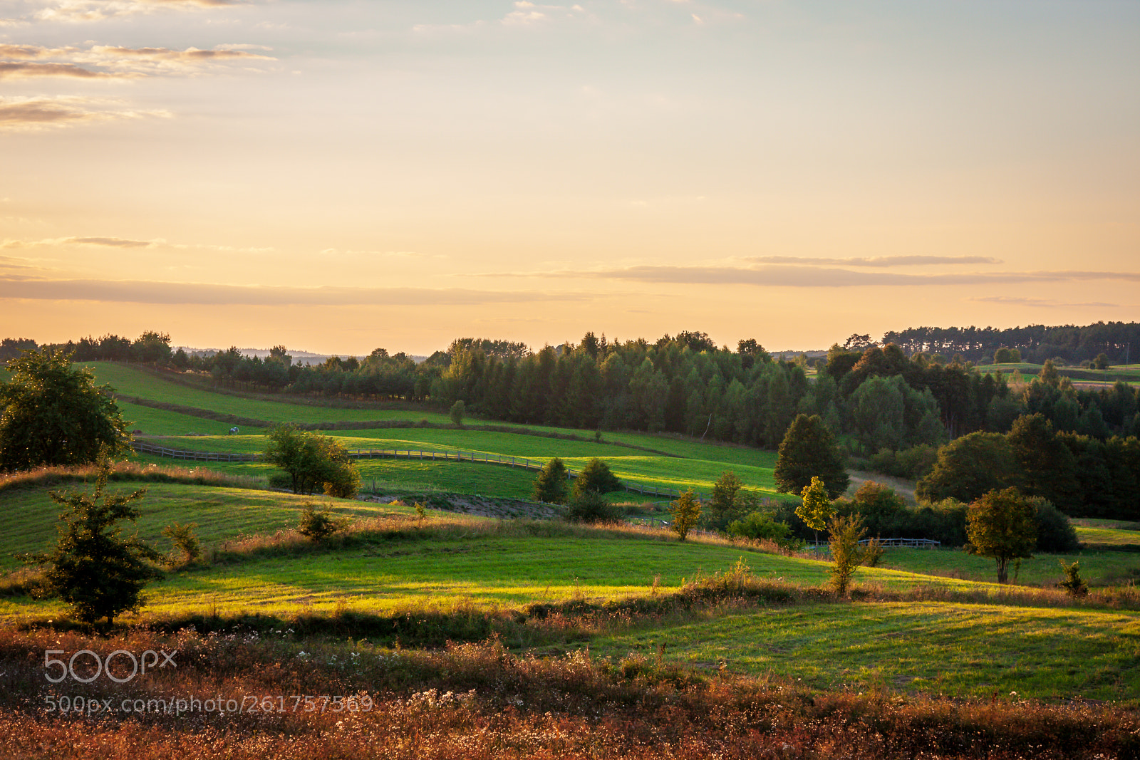 Canon EOS 40D sample photo. A sunset on a photography