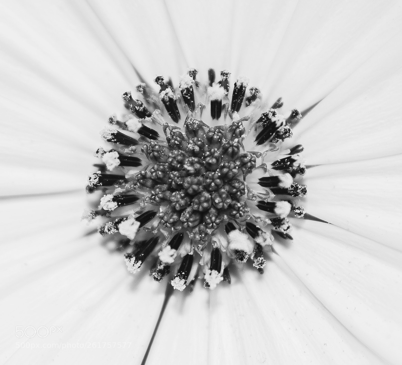 Nikon D7100 sample photo. Hidden treasures of nature photography