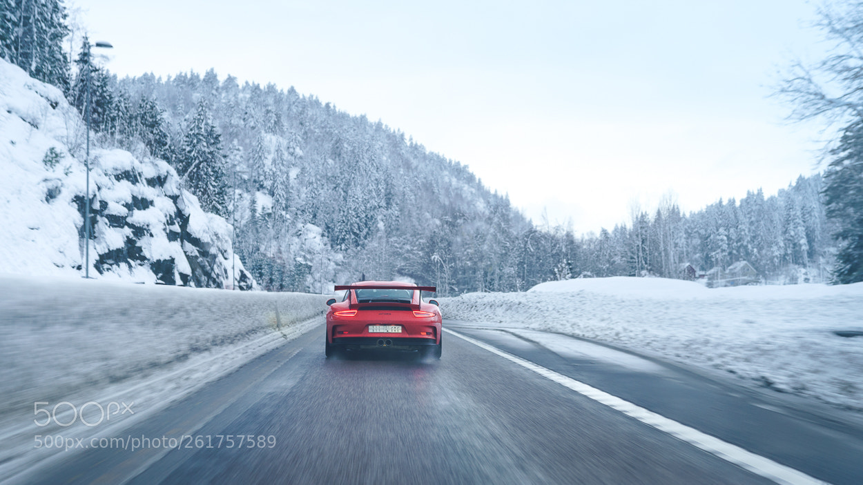 Sony a9 sample photo. Winter roaming photography