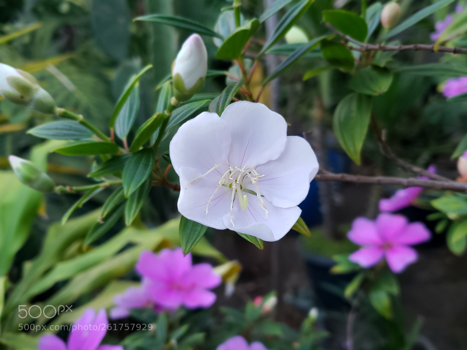 Samsung Galaxy S9 sample photo. Untitled photography