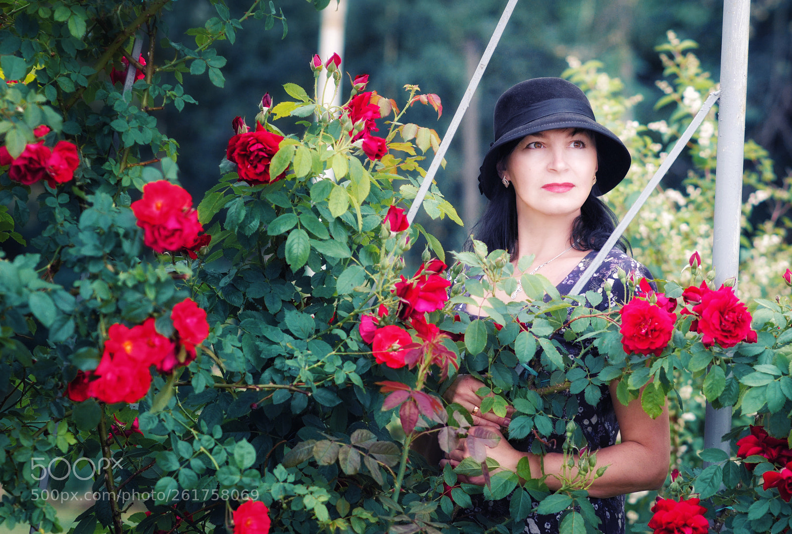 Nikon D3000 sample photo. Flowers girl photography