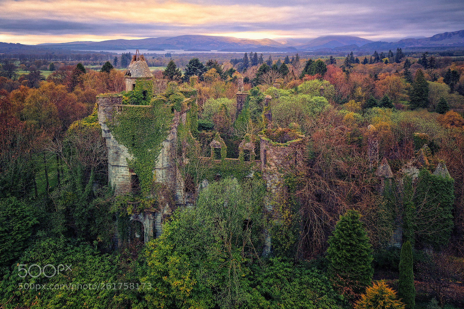 DJI FC220 sample photo. Deep in the woods photography