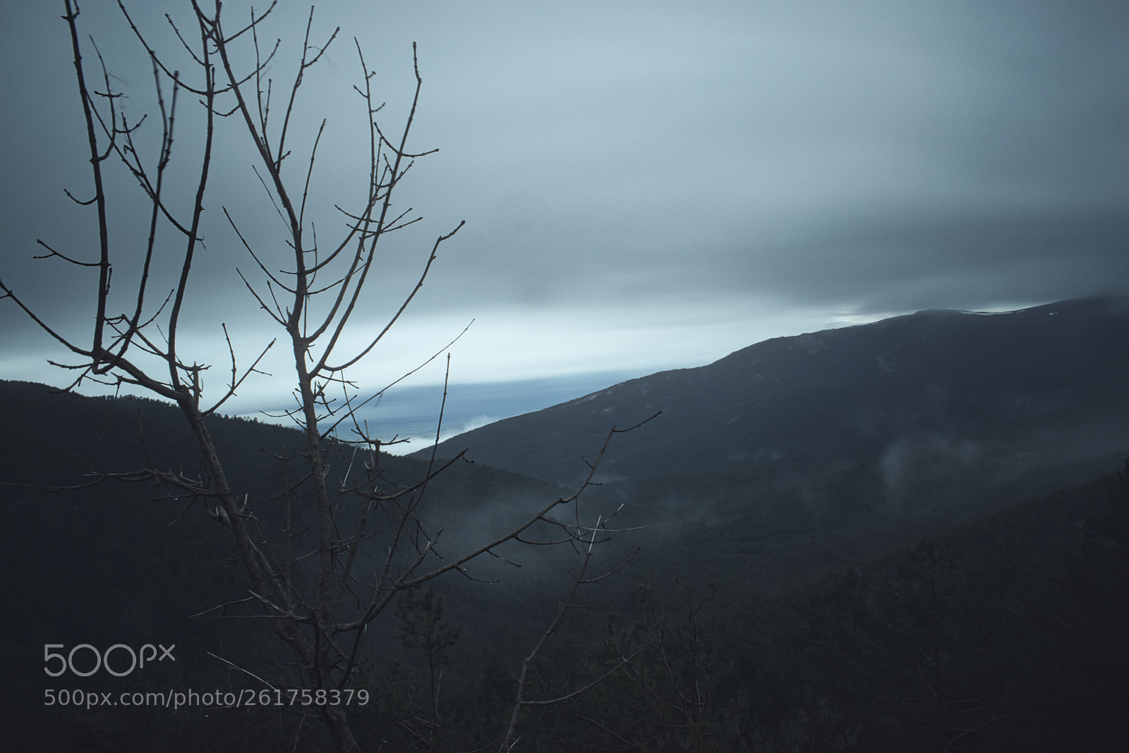 Nikon D5600 sample photo. Peaceful photography