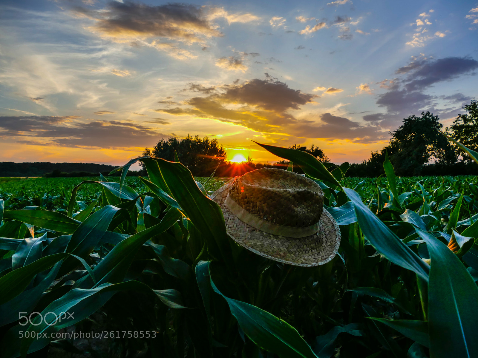 Panasonic Lumix DMC-FZ1000 sample photo. Old straw hat sunset photography
