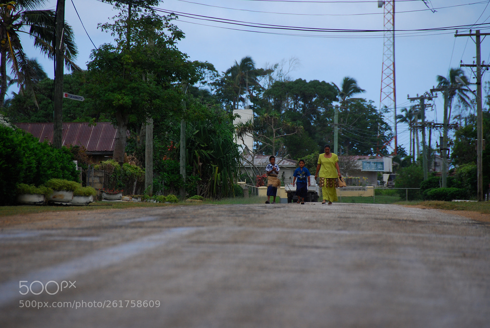 Nikon D80 sample photo. On the road to photography