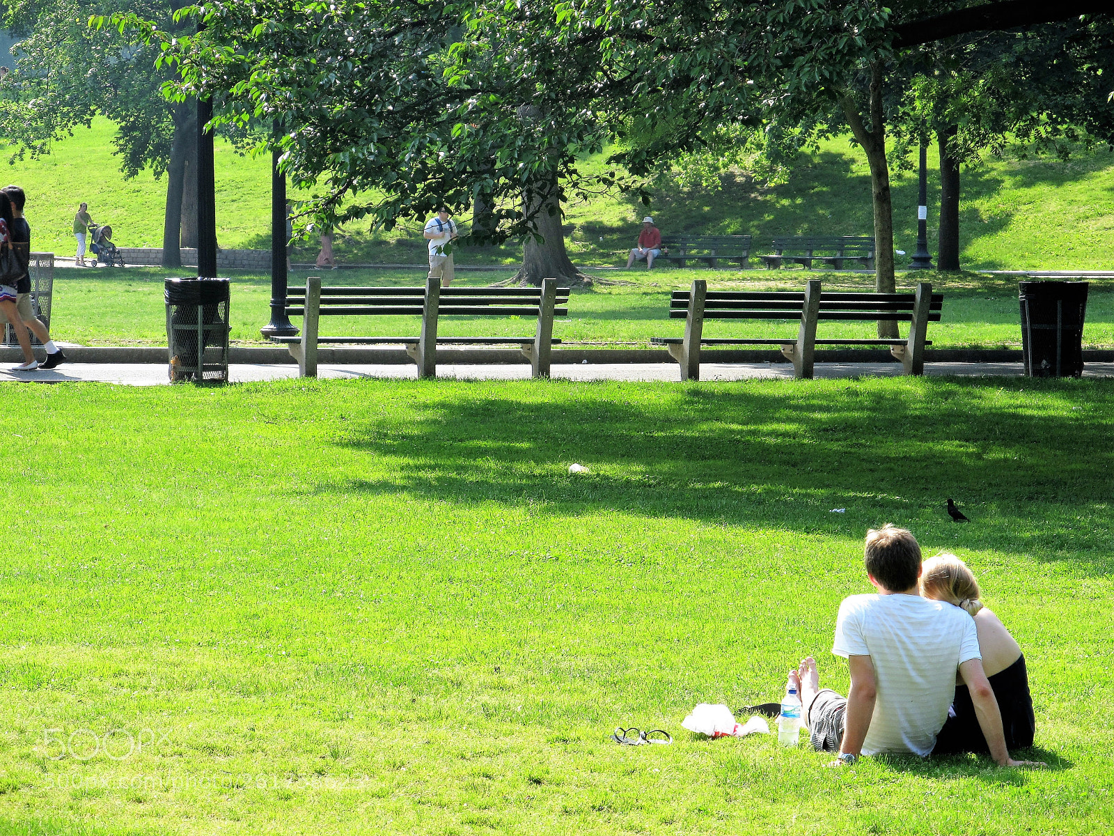 Canon PowerShot SX130 IS sample photo. Springtime on boston common photography