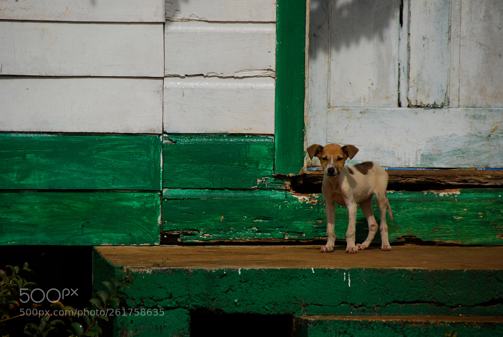 Nikon D80 sample photo. Little house with a photography